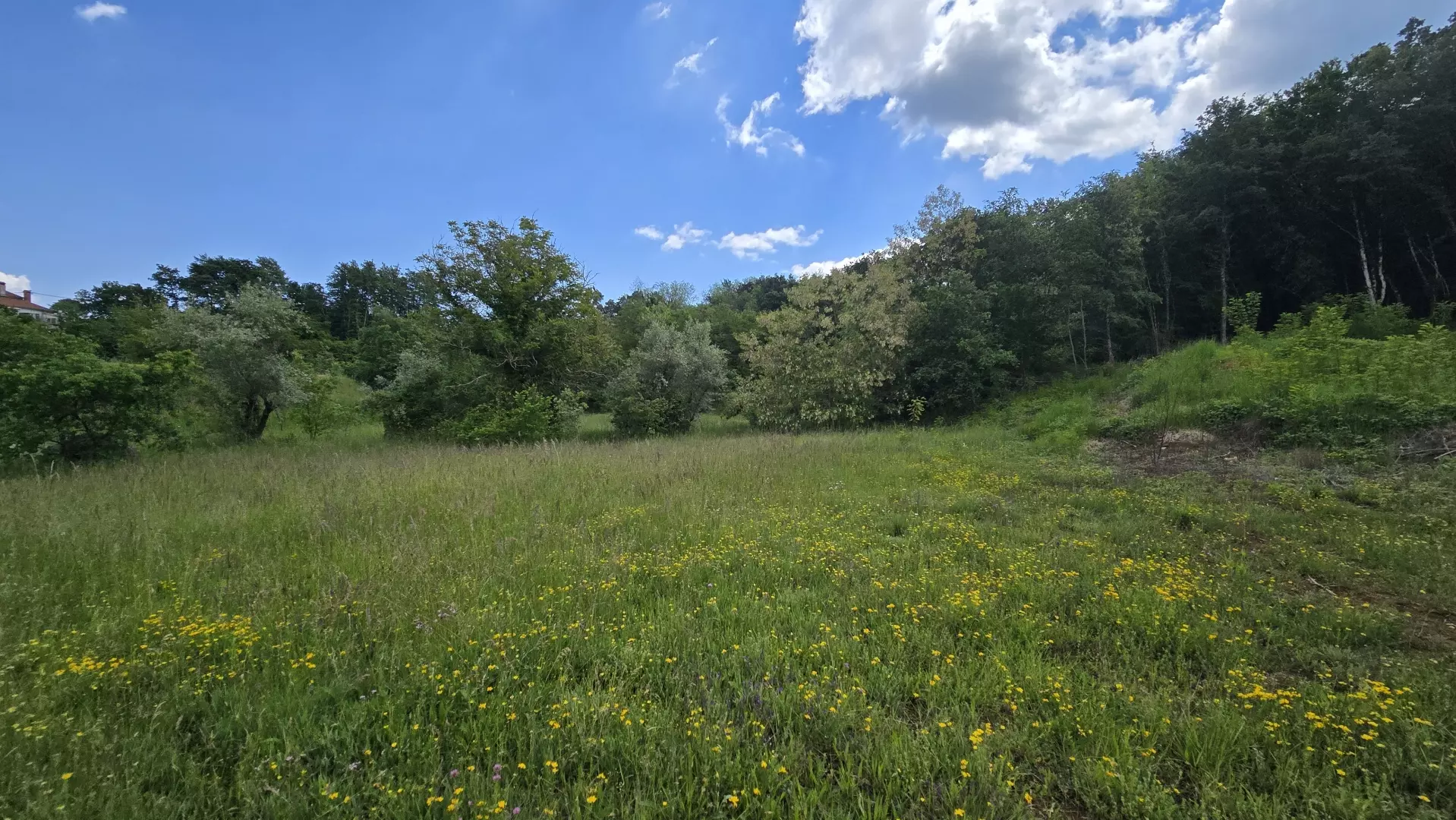 Land In Pićan, Croatia (1.818 M²)