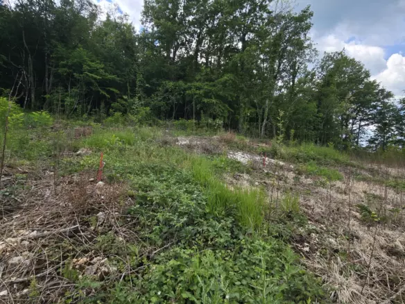 Land In Pićan, Croatia (2.665 M²)