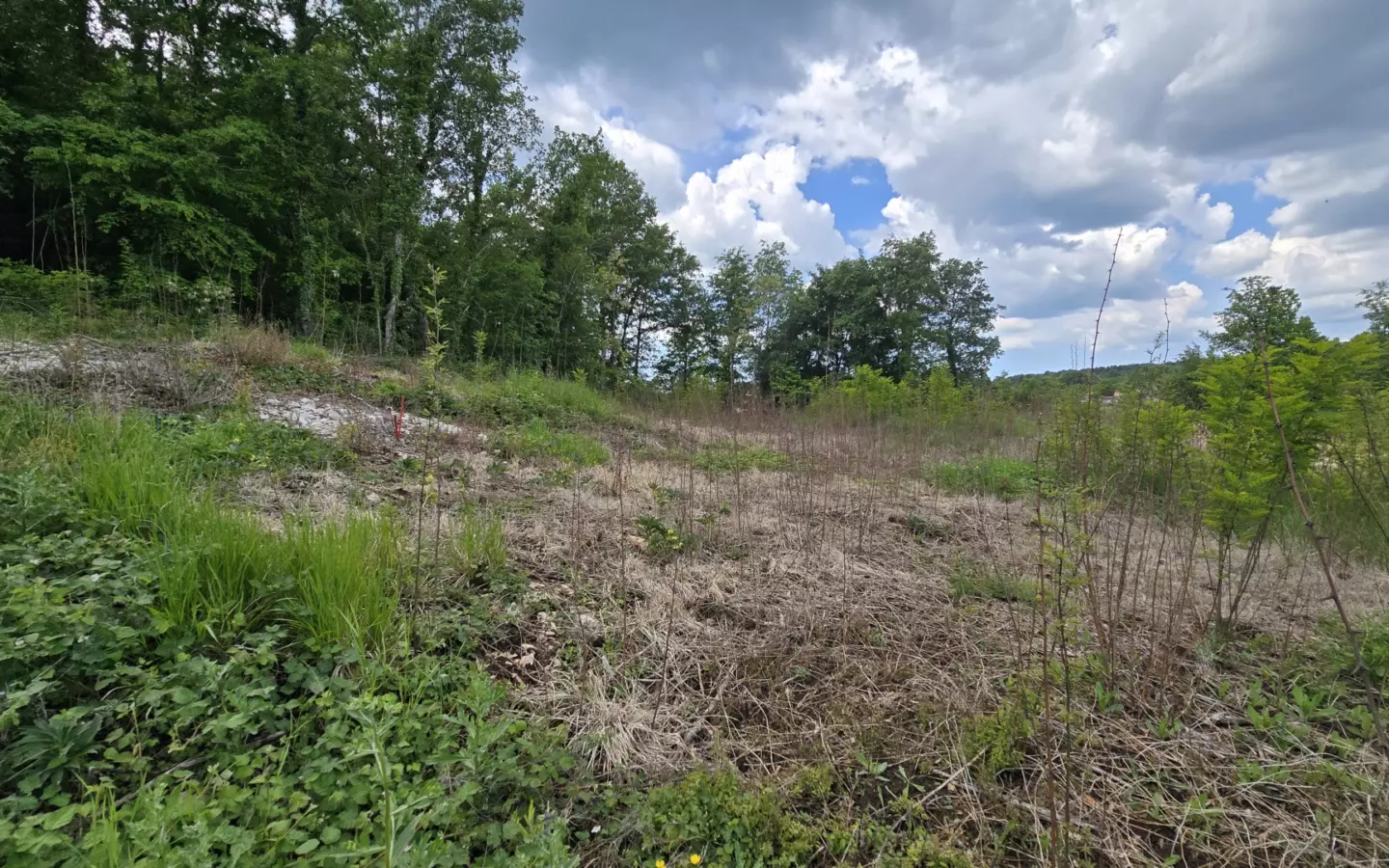Land In Pićan, Croatia (2.665 M²)