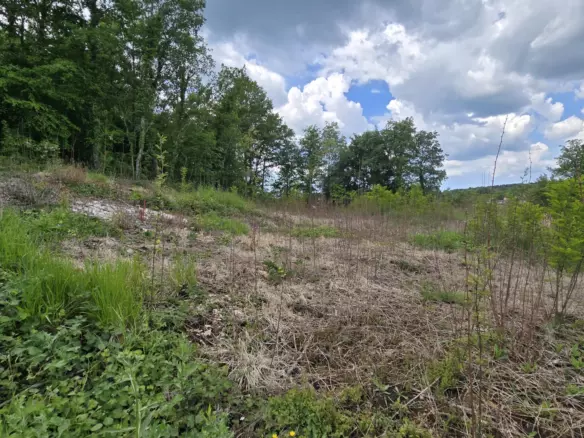 Land In Pićan, Croatia (2.665 M²)
