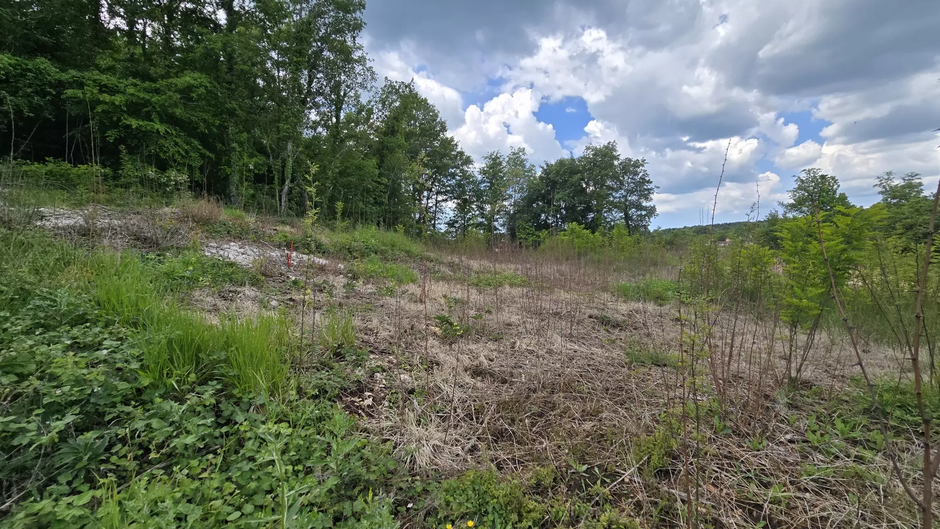 Land In Pićan, Croatia (2.665 M²)