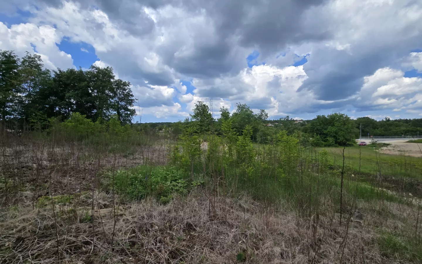 Land In Pićan, Croatia (2.665 M²)