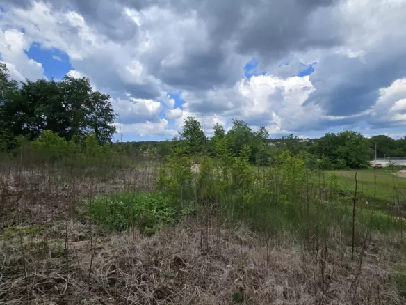 Land In Pićan, Croatia (2.665 M²)