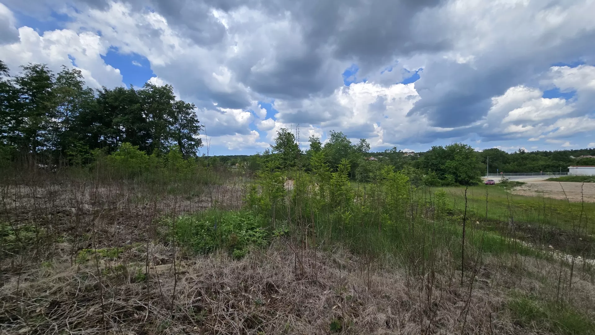 Land In Pićan, Croatia (2.665 M²)