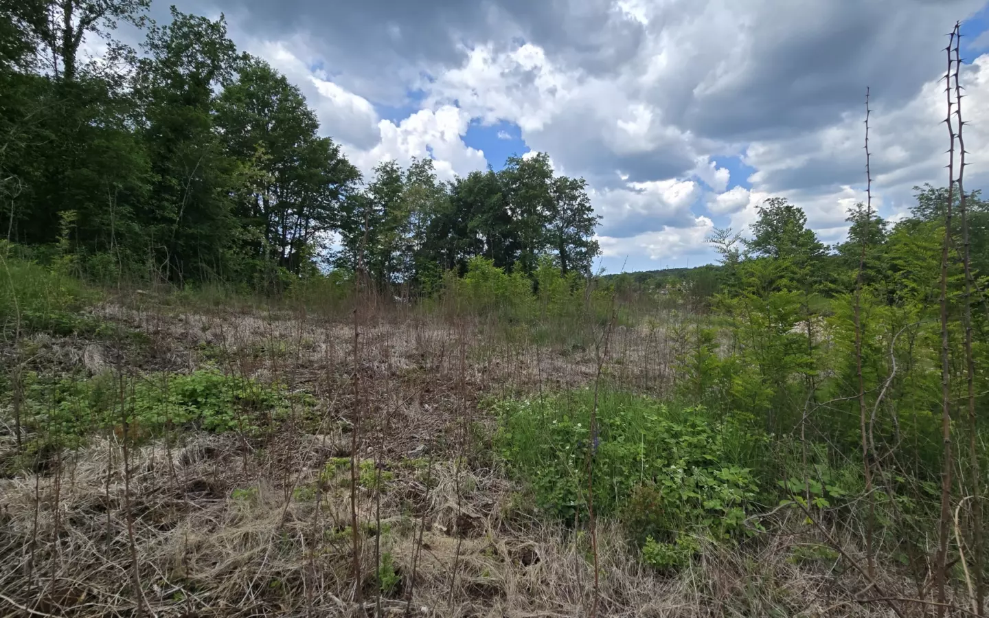 Land In Pićan, Croatia (2.665 M²)