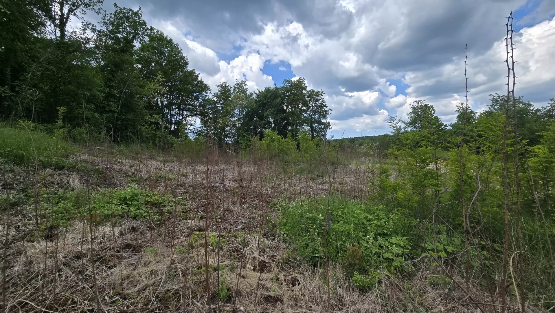 Land In Pićan, Croatia (2.665 M²)