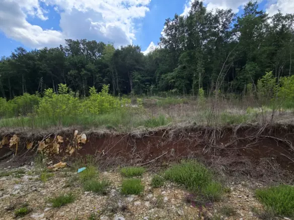 Land In Pićan, Croatia (2.665 M²)