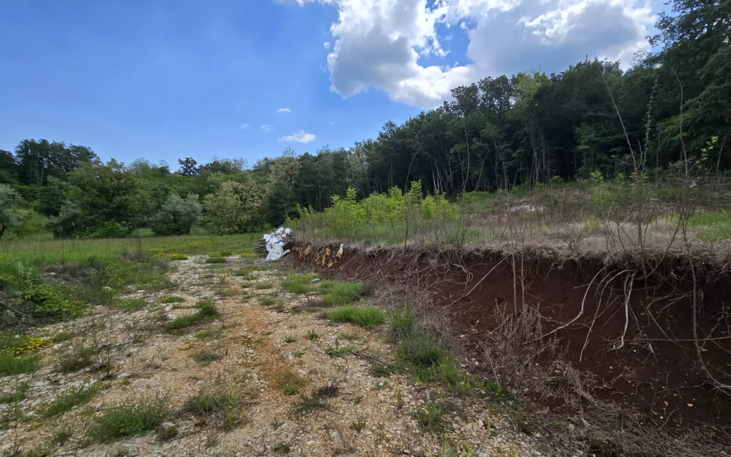 Land In Pićan, Croatia (1.818 M²)