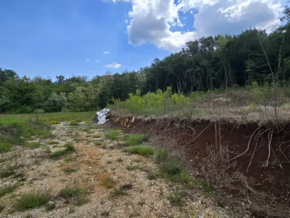 Land In Pićan, Croatia (1.818 M²)