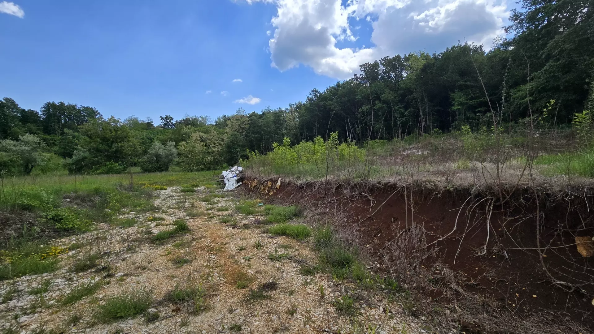 Land In Pićan, Croatia (1.818 M²)