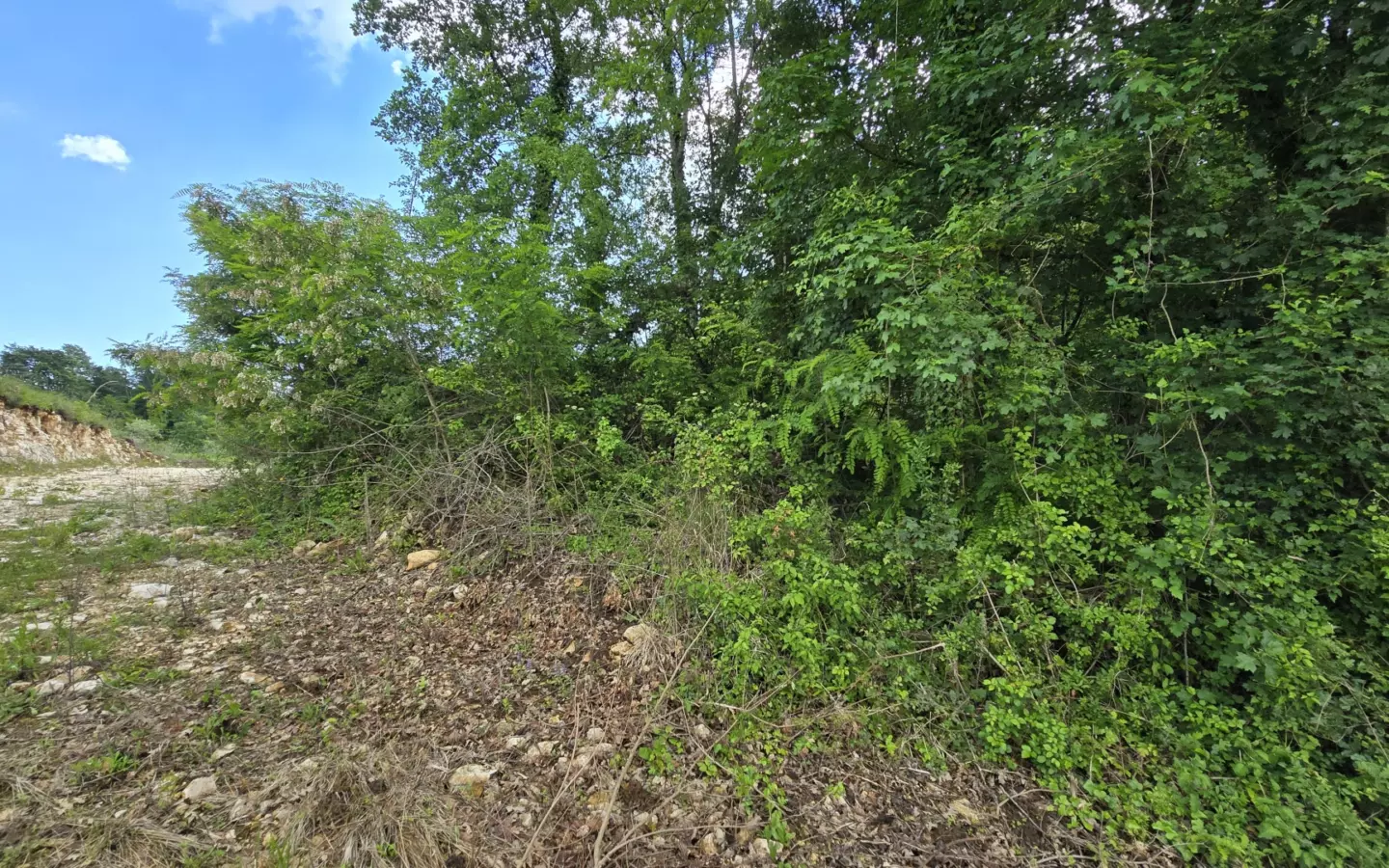 Land In Pićan, Croatia (1.818 M²)