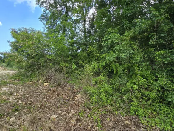 Land In Pićan, Croatia (1.818 M²)