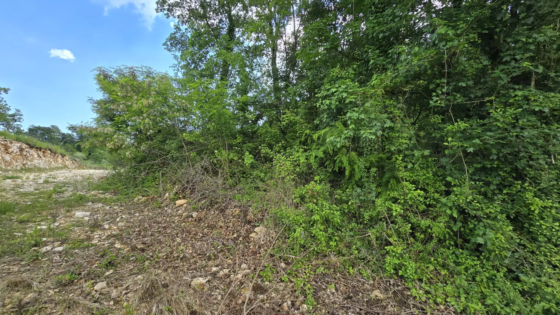 Land In Pićan, Croatia (1.818 M²)