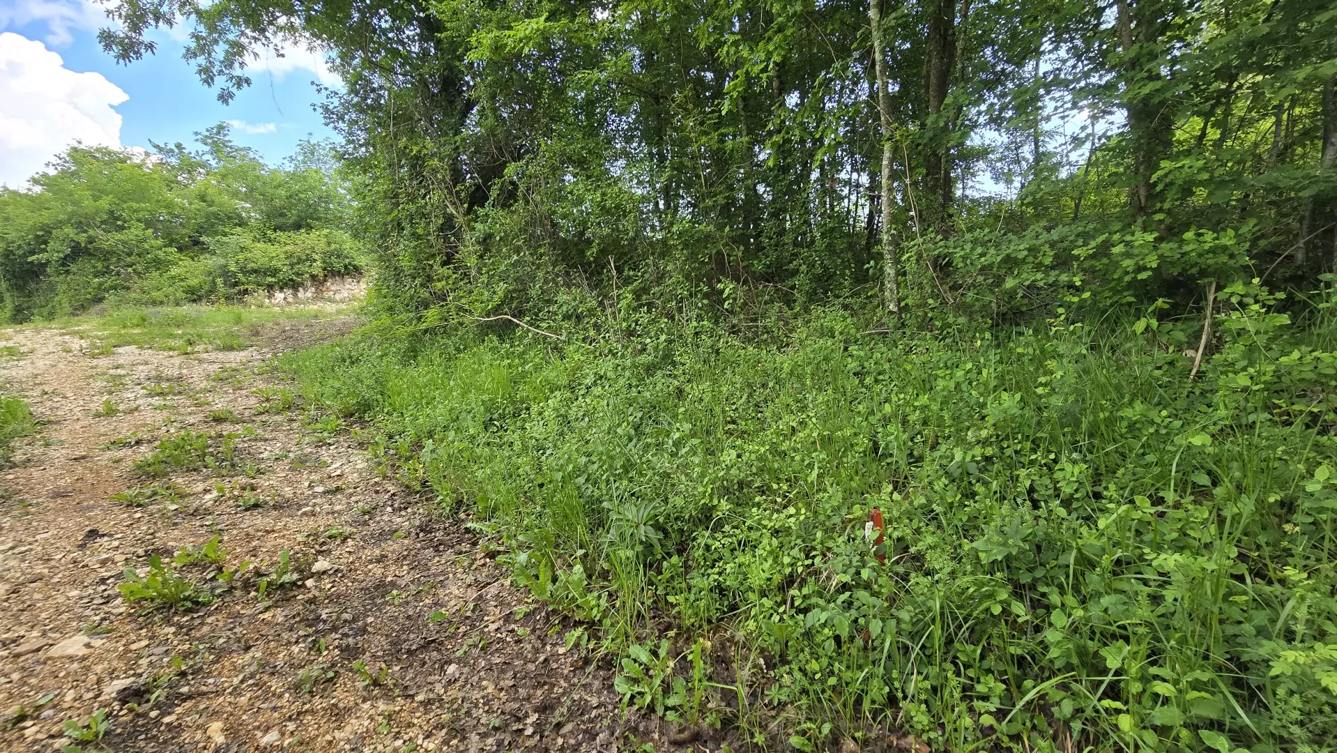 Land In Pićan, Croatia (2.665 M²)