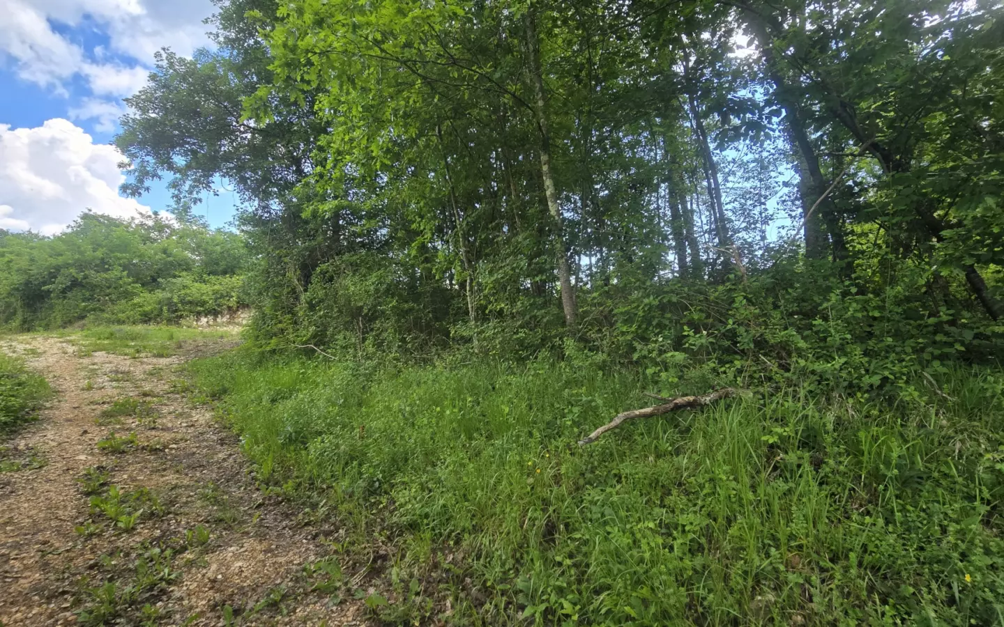Land In Pićan, Croatia (847 M²)