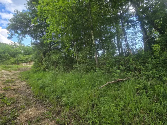 Land In Pićan, Croatia (847 M²)