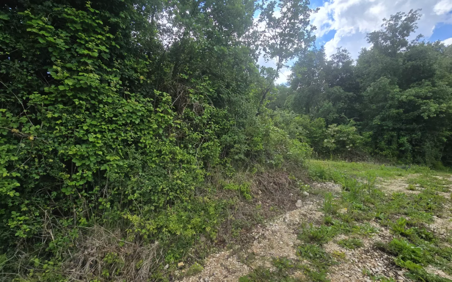 Land In Pićan, Croatia (847 M²)