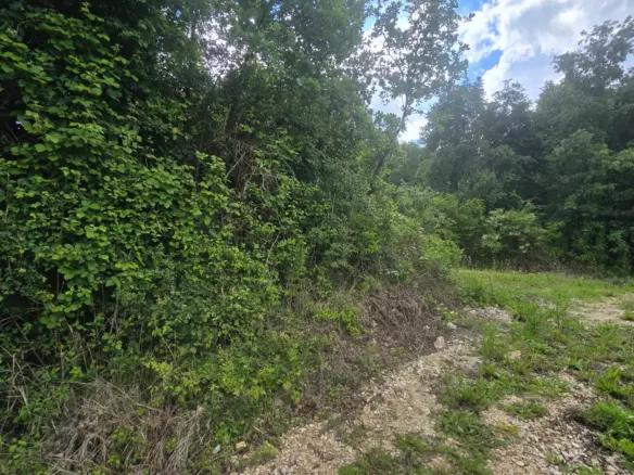 Land In Pićan, Croatia (847 M²)