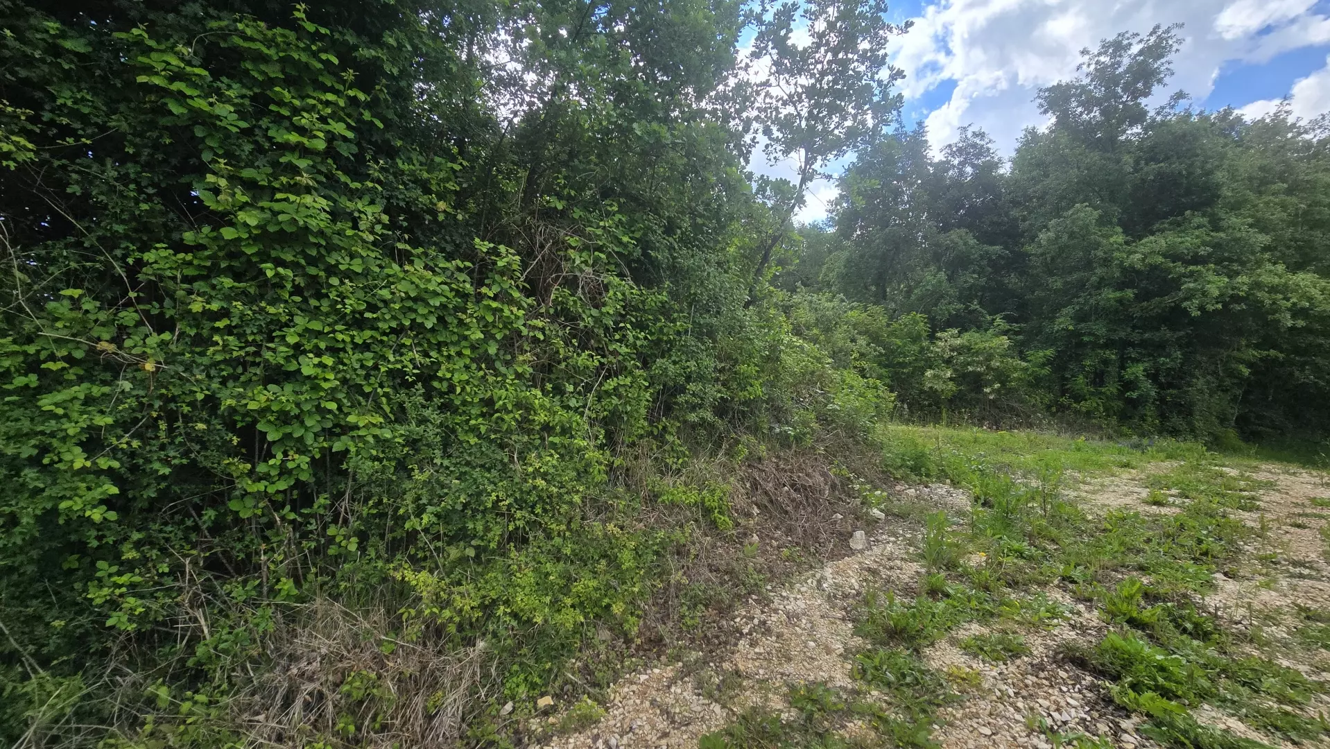 original_1779127925_1000215700-b50272 Land In Pićan, Croatia (847 M²)