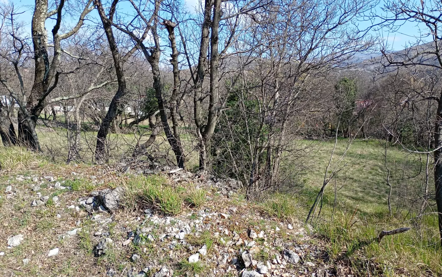 Land In Krasica, Croatia (2.168 M²)