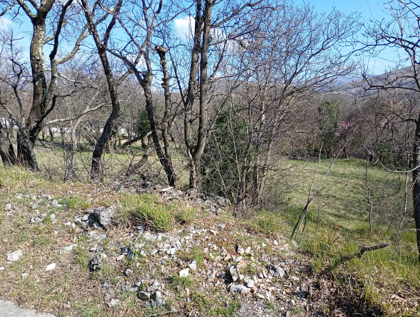 Land In Krasica, Croatia (2.168 M²)
