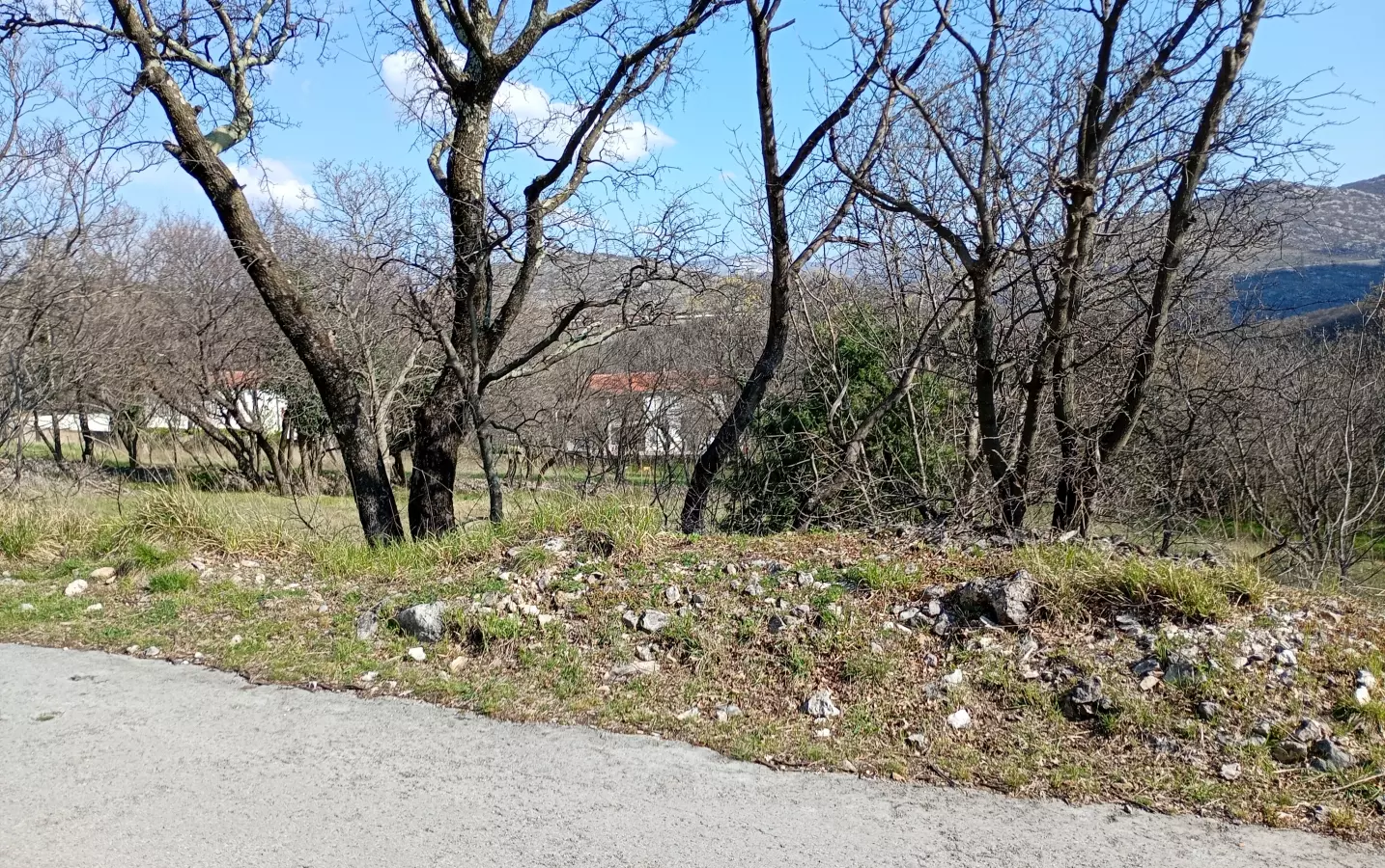 Land In Krasica, Croatia (2.168 M²)