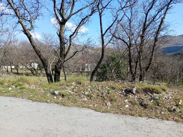 Land In Krasica, Croatia (2.168 M²)