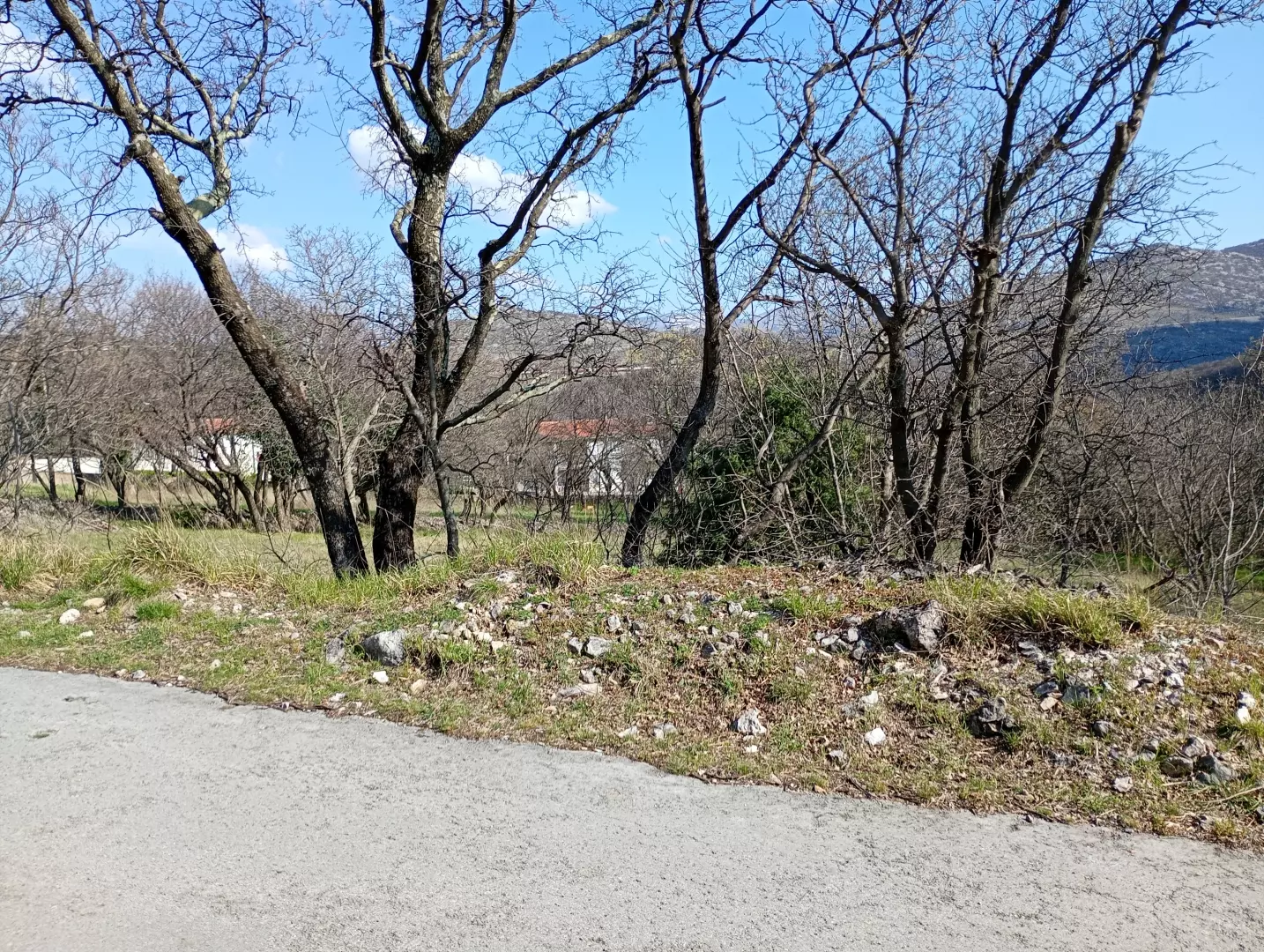 Land In Krasica, Croatia (2.168 M²)