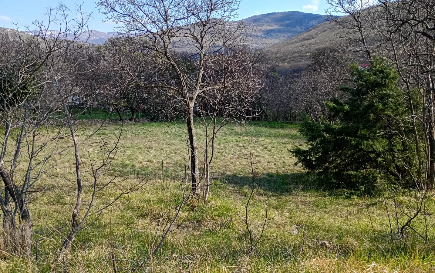 Land In Krasica, Croatia (2.168 M²)
