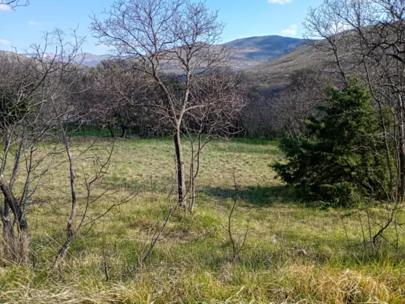 Land In Krasica, Croatia (2.168 M²)