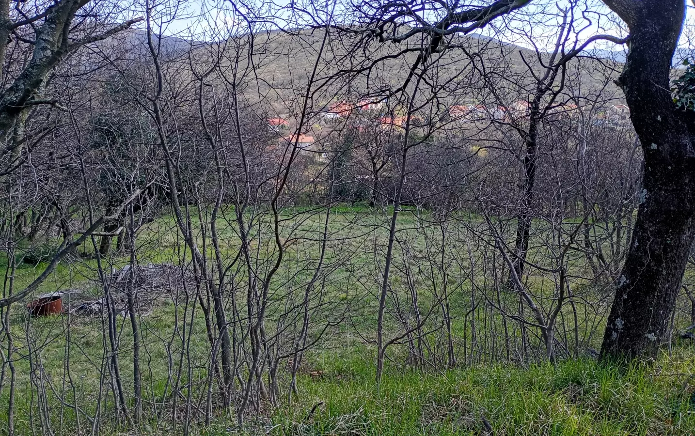 Land In Krasica, Croatia (2.168 M²)