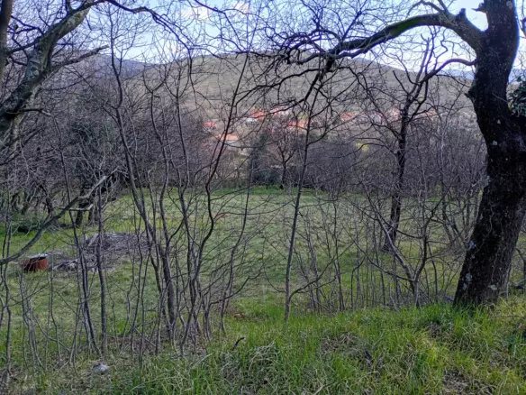 Land In Krasica, Croatia (2.168 M²)