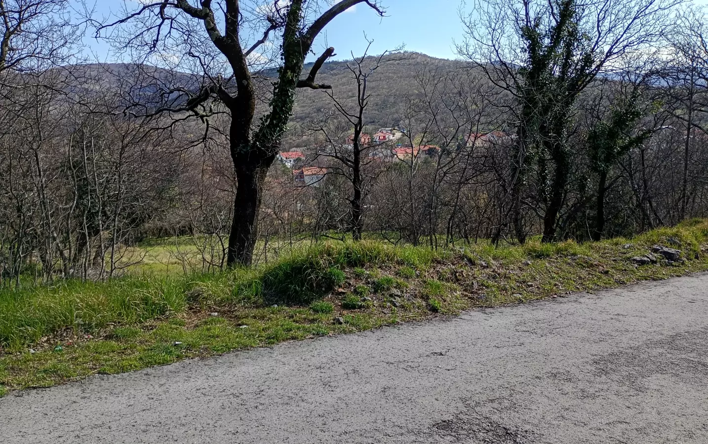 Land In Krasica, Croatia (2.168 M²)