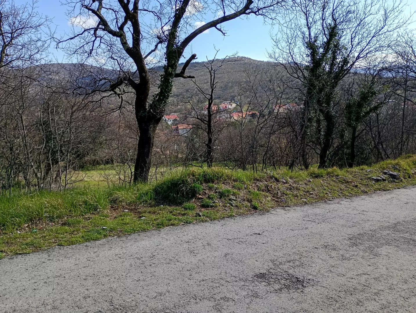 Land In Krasica, Croatia (2.168 M²)
