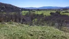 Land In Pećane, Croatia (8.486 M²)