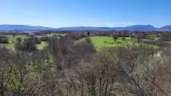 Land In Pećane, Croatia (8.486 M²)