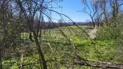 Land In Pećane, Croatia (8.486 M²)