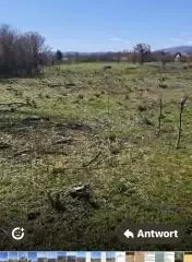 Land In Pećane, Croatia (8.486 M²)