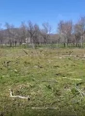 Land In Pećane, Croatia (8.486 M²)