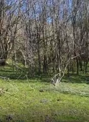 Land In Pećane, Croatia (8.486 M²)