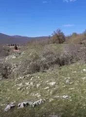 Land In Pećane, Croatia (8.486 M²)