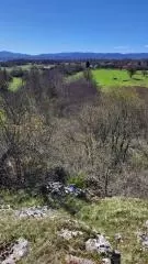 Land In Pećane, Croatia (8.486 M²)