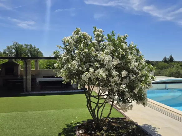 6-bedroom Detached House In Umag, Croatia (355 M²)