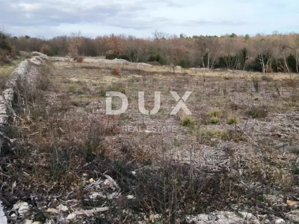 Land In Filipana, Croatia (1.295 M²)
