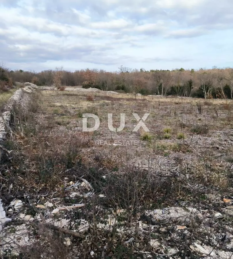 Land In Filipana, Croatia (1.295 M²)