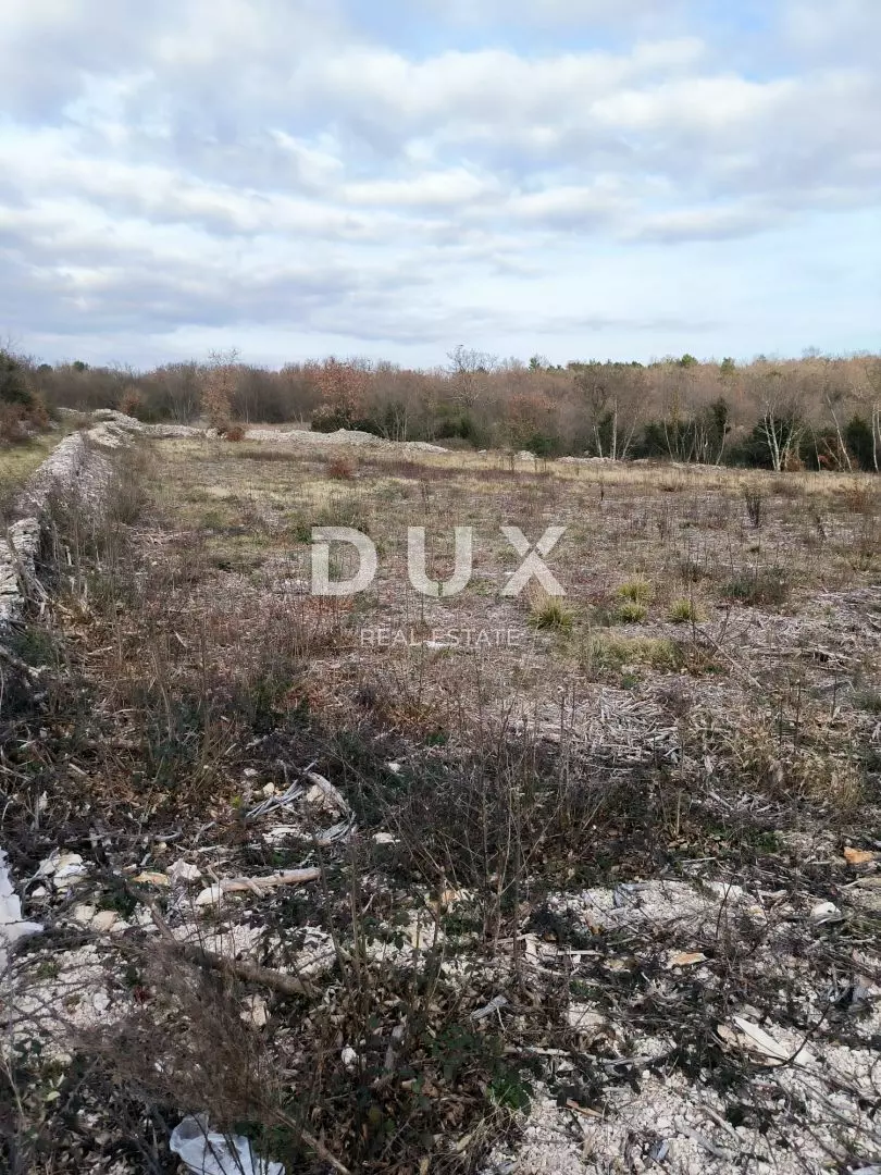 1705338060_f9-61fe05 Land In Filipana, Croatia (1.295 M²)