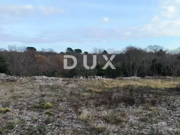 Land In Filipana, Croatia (1.295 M²)