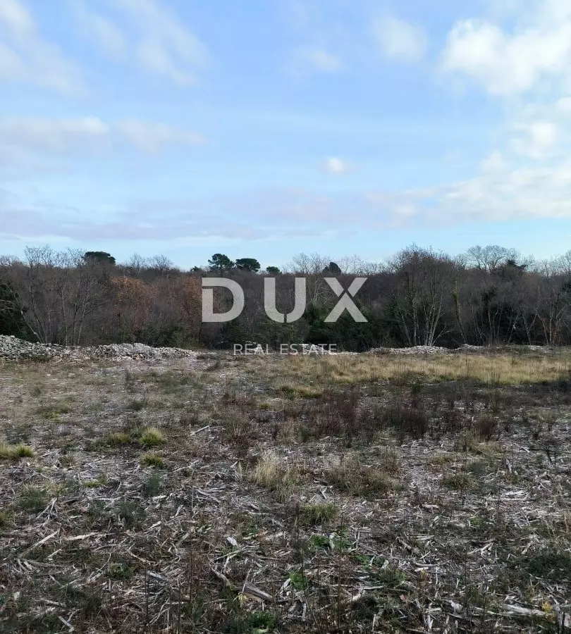 Land In Filipana, Croatia (1.295 M²)