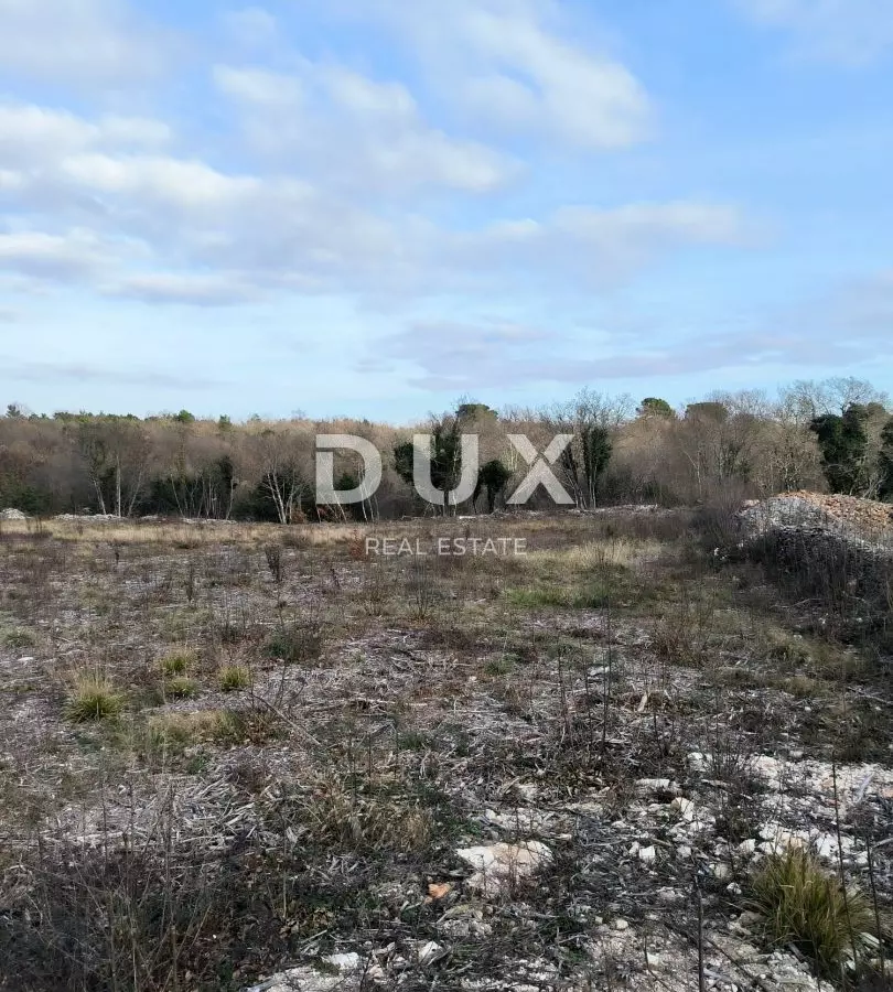 Land In Filipana, Croatia (1.295 M²)