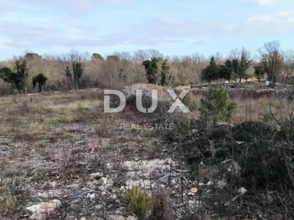Land In Filipana, Croatia (1.295 M²)